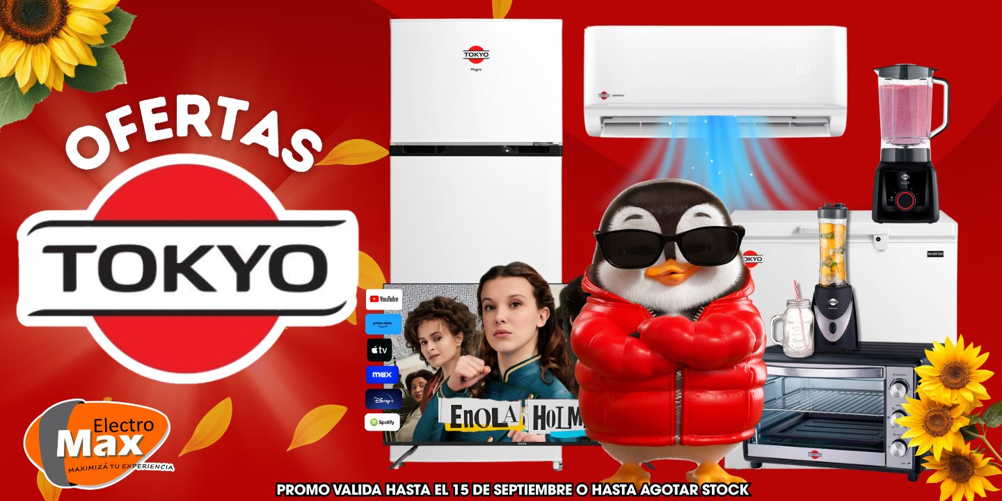 Banner de Electromax